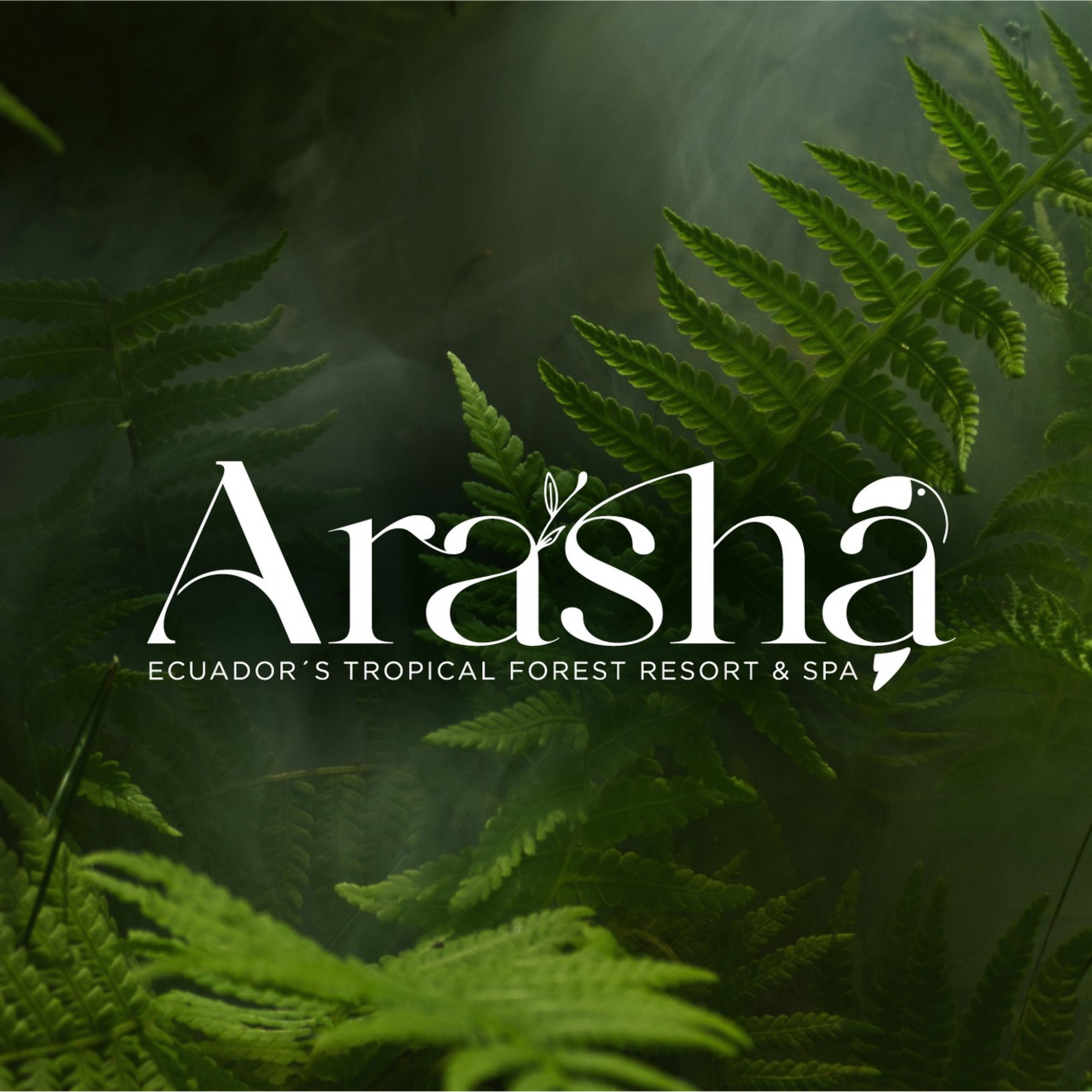 Hosteria Arasha